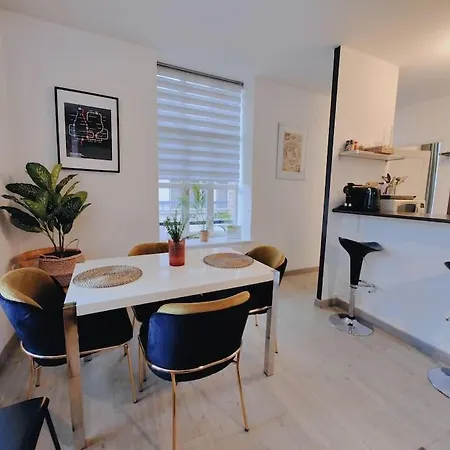 Lumineux Et Calme Parking Gratuit Διαμέρισμα Λιλ